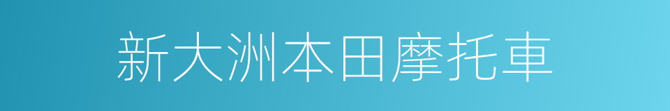 新大洲本田摩托車的同義詞
