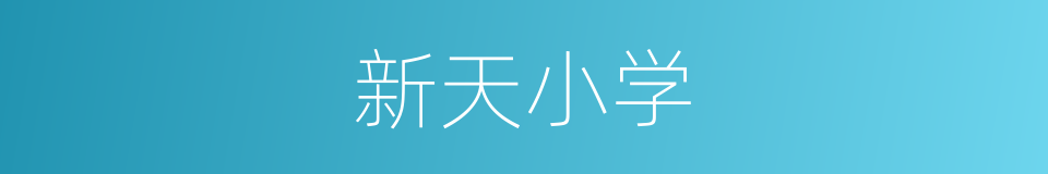 新天小学的同义词