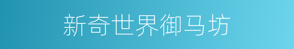 新奇世界御马坊的同义词