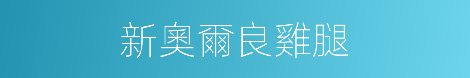 新奧爾良雞腿的同義詞