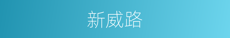 新威路的同义词