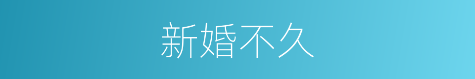 新婚不久的同义词