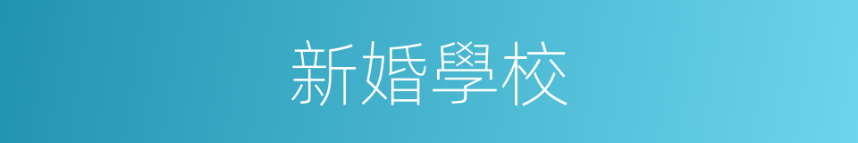 新婚學校的同義詞