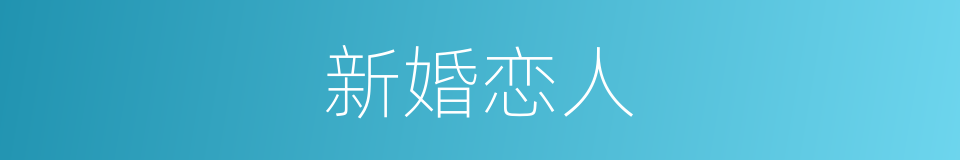新婚恋人的同义词