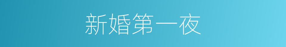 新婚第一夜的同义词