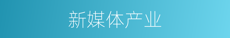 新媒体产业的同义词