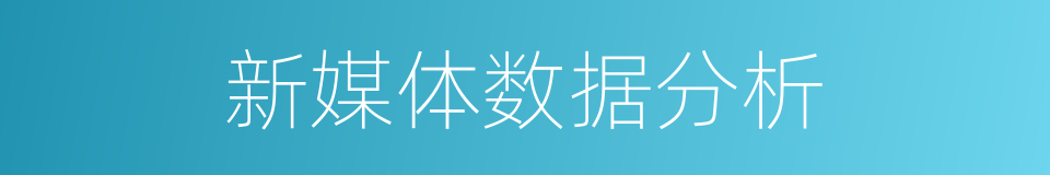 新媒体数据分析的同义词