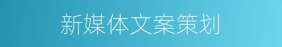 新媒体文案策划的同义词