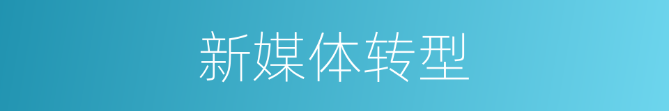 新媒体转型的同义词