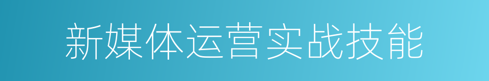 新媒体运营实战技能的同义词