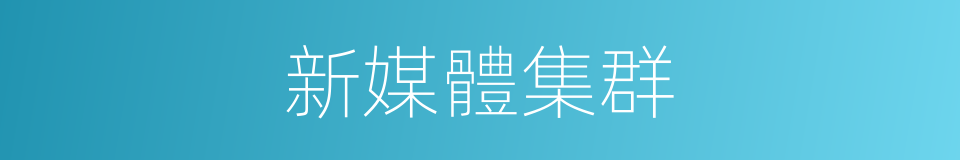 新媒體集群的同義詞