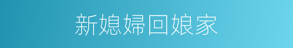 新媳婦回娘家的同義詞
