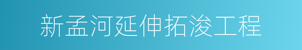 新孟河延伸拓浚工程的同义词