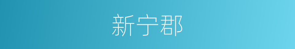 新宁郡的同义词