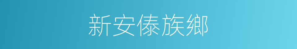 新安傣族鄉的同義詞