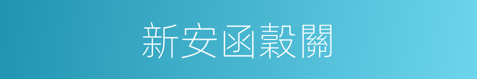 新安函穀關的同義詞