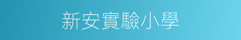 新安實驗小學的同義詞
