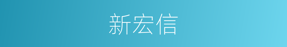 新宏信的同义词