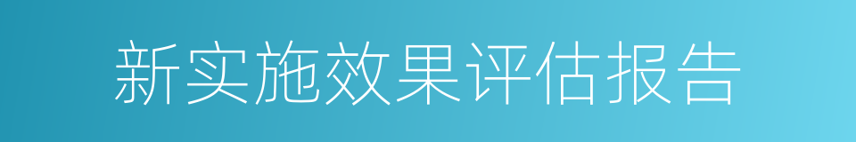 新实施效果评估报告的同义词