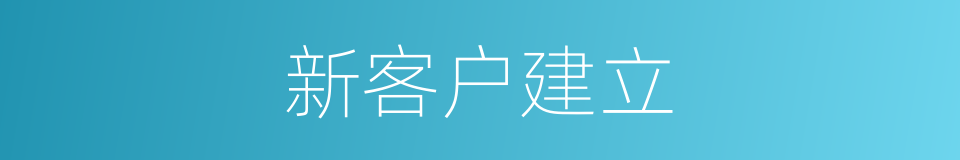 新客户建立的同义词