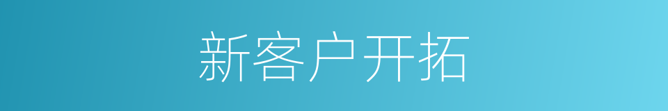 新客户开拓的同义词