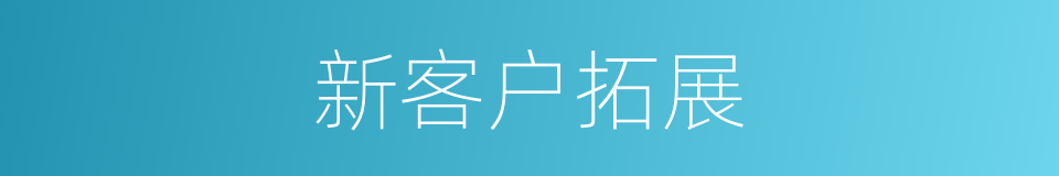 新客户拓展的同义词