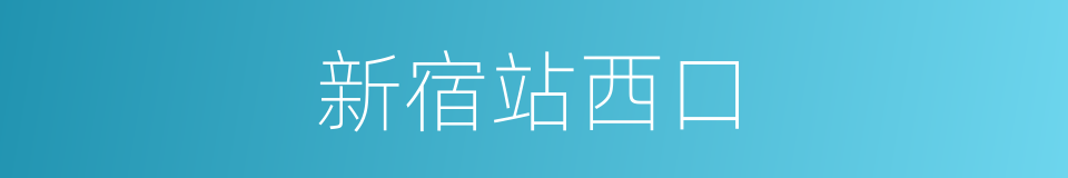 新宿站西口的同义词