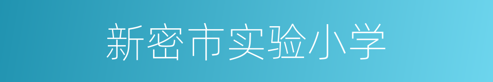 新密市实验小学的同义词