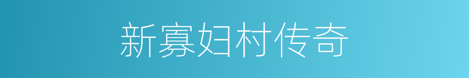 新寡妇村传奇的同义词