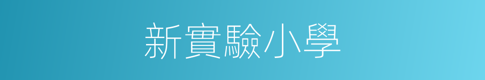 新實驗小學的同義詞
