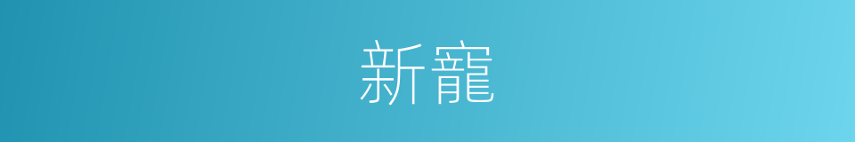 新寵的意思