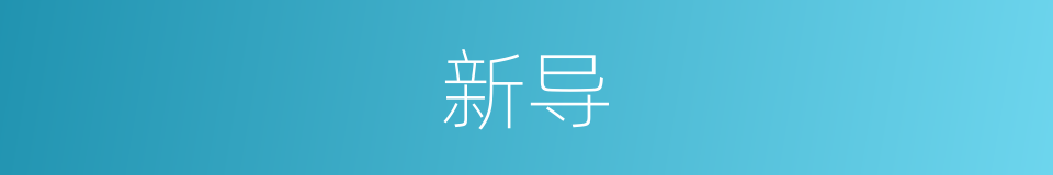 新导的同义词