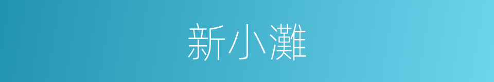 新小灘的同義詞