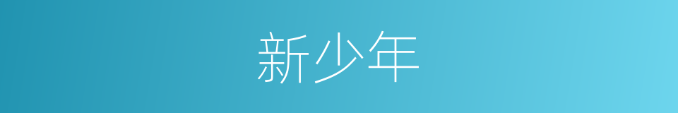 新少年的同义词