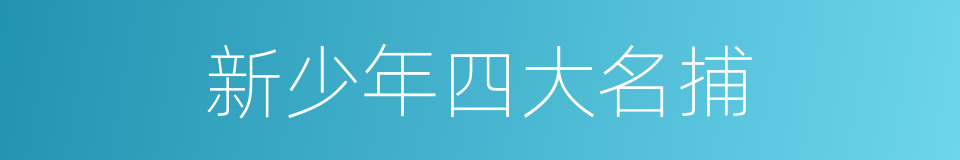 新少年四大名捕的同义词