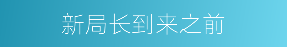 新局长到来之前的同义词