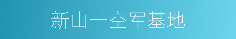 新山一空军基地的同义词