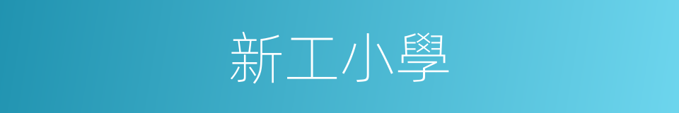 新工小學的同義詞