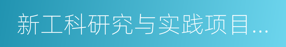 新工科研究与实践项目指南的同义词