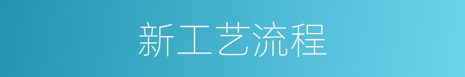新工艺流程的同义词