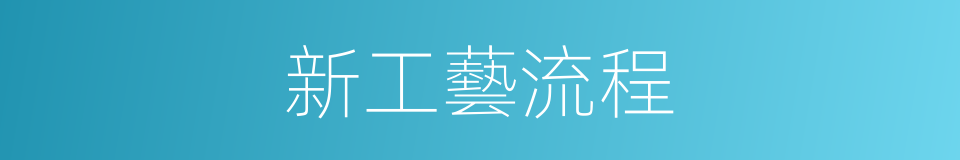 新工藝流程的同義詞