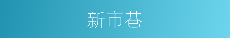 新市巷的同义词
