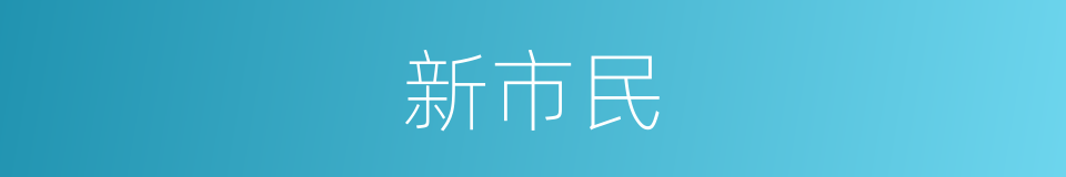 新市民的同义词