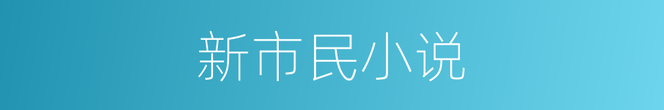 新市民小说的同义词