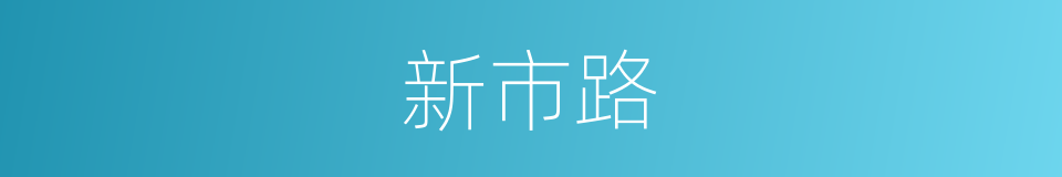 新市路的同义词