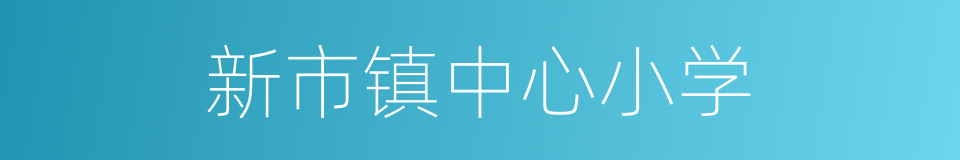 新市镇中心小学的同义词