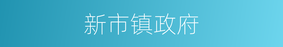 新市镇政府的同义词