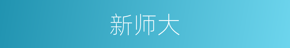 新师大的同义词