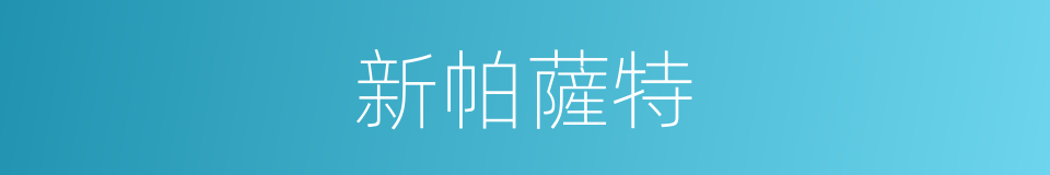 新帕薩特的同義詞