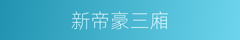 新帝豪三廂的同義詞